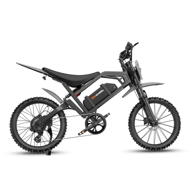 V20Cross