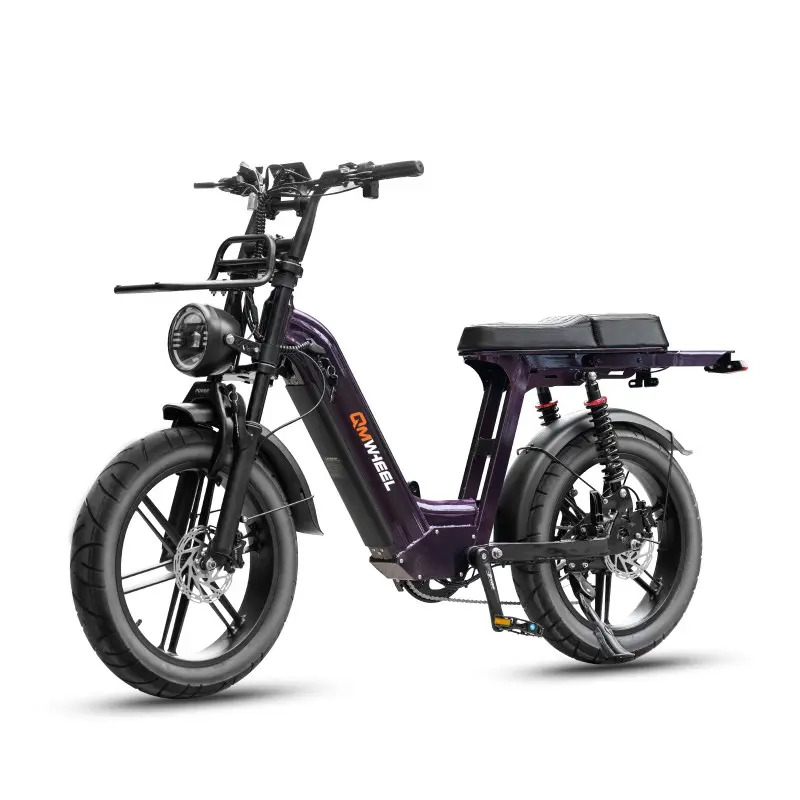 City Commuter Ebike s baterií s dlouhým dojezdem City Commuter Ebike s baterií s dlouhým dojezdem